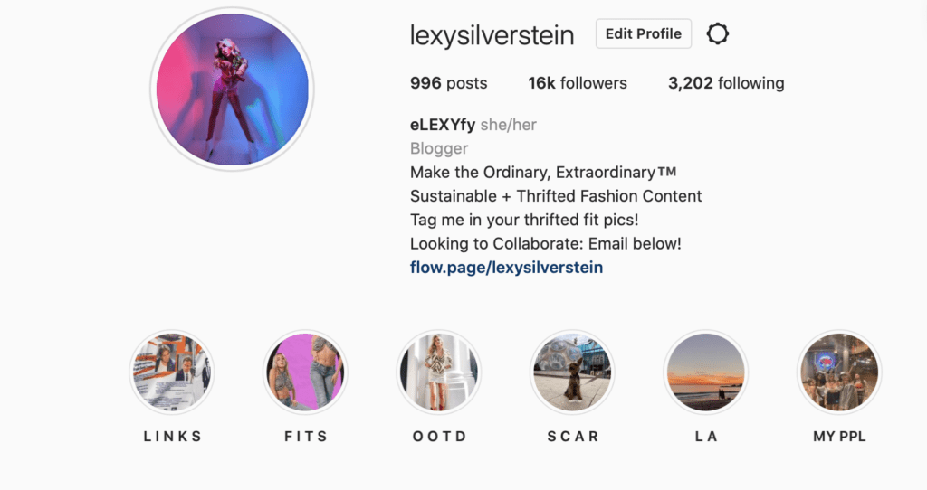 A screenshot of Lexy Silverstein's Instagram profile