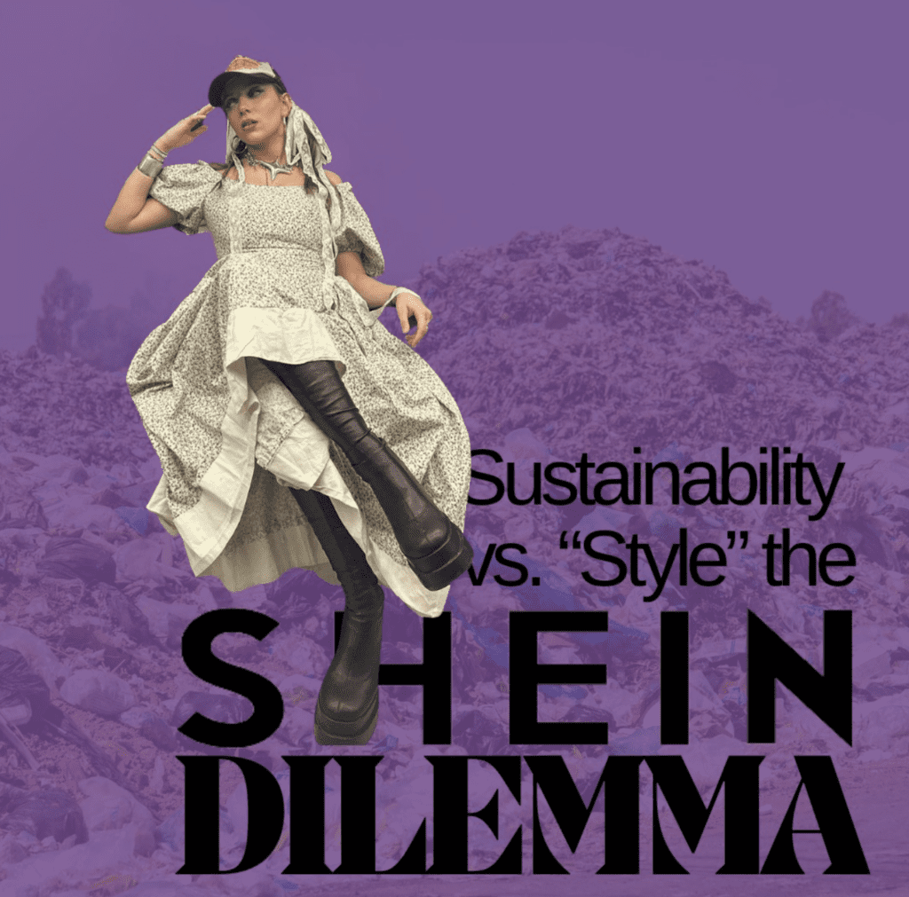 The SHEIN dilemma: sustainability versus style